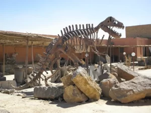 Merzouga Dunes Tour from Marrakech | 3-Day Private Sahara Desert Adventure