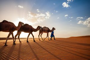 Morocco Guided Tours 2025/2026 – Ultimate Morocco Travel Guide by Teesd Travel