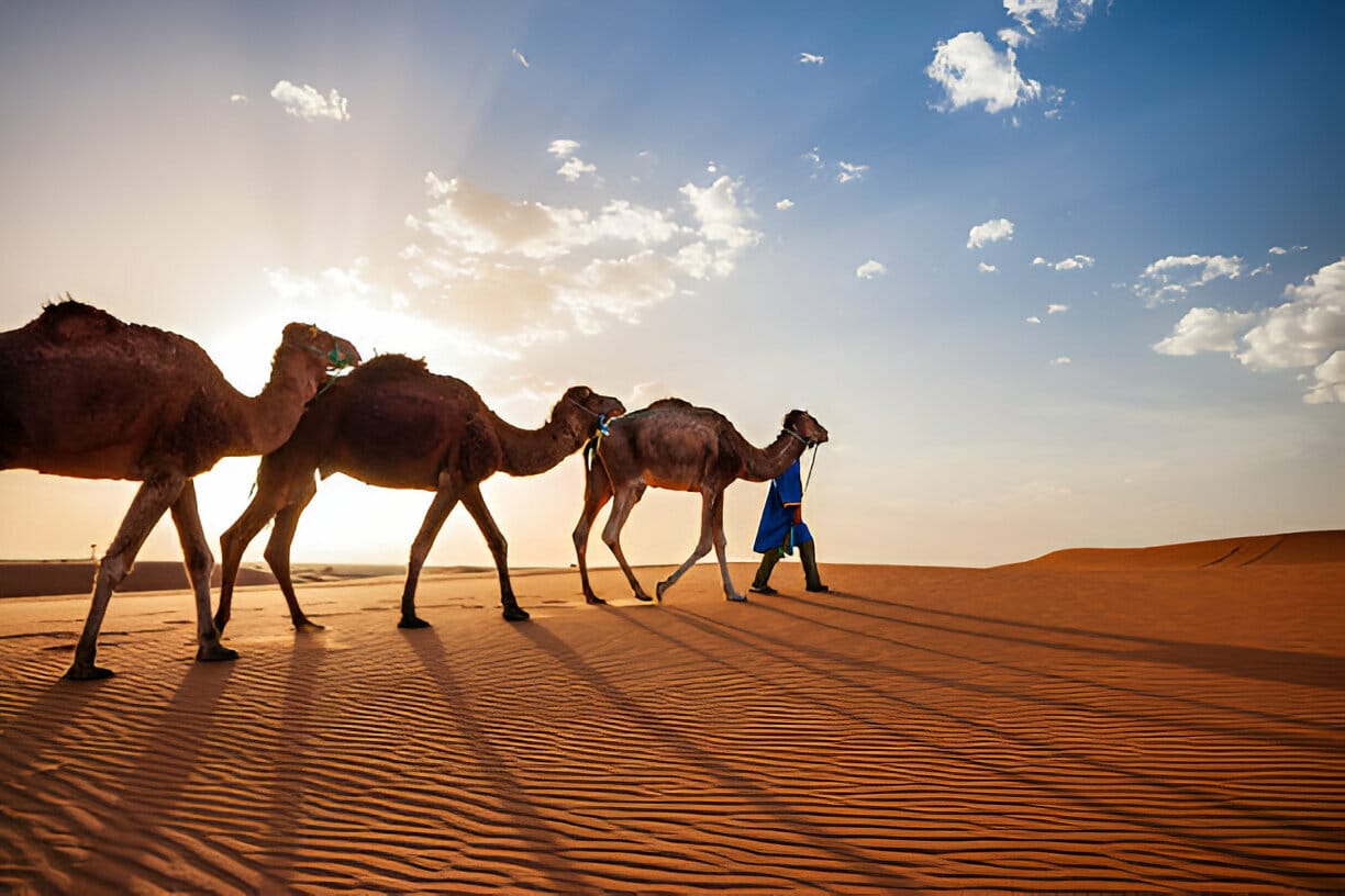 Estancia de bienestar y salud en Marruecos